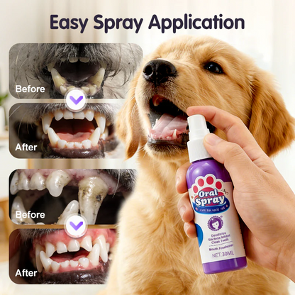 🔥2026 New Arrivals: 52% Off for a Limited Time!🔥 Contcove® Teeth Cleaning Spray for Pets