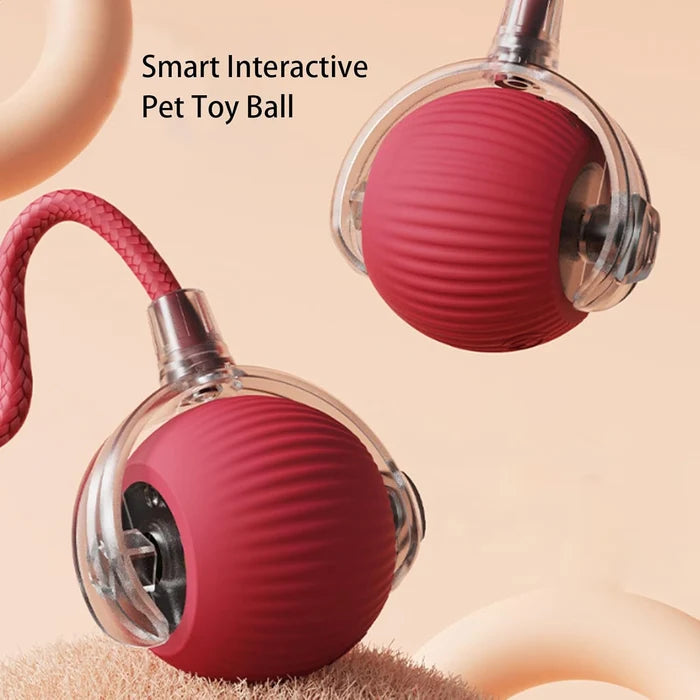 🐾 2026 New Contcove® Interactive Pet Toy Ball – Smart Rolling & Bouncing Fun