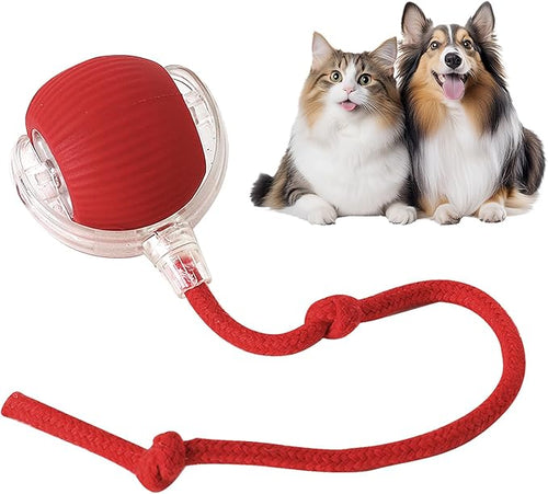 🐾 2026 New Contcove® Interactive Pet Toy Ball – Smart Rolling & Bouncing Fun