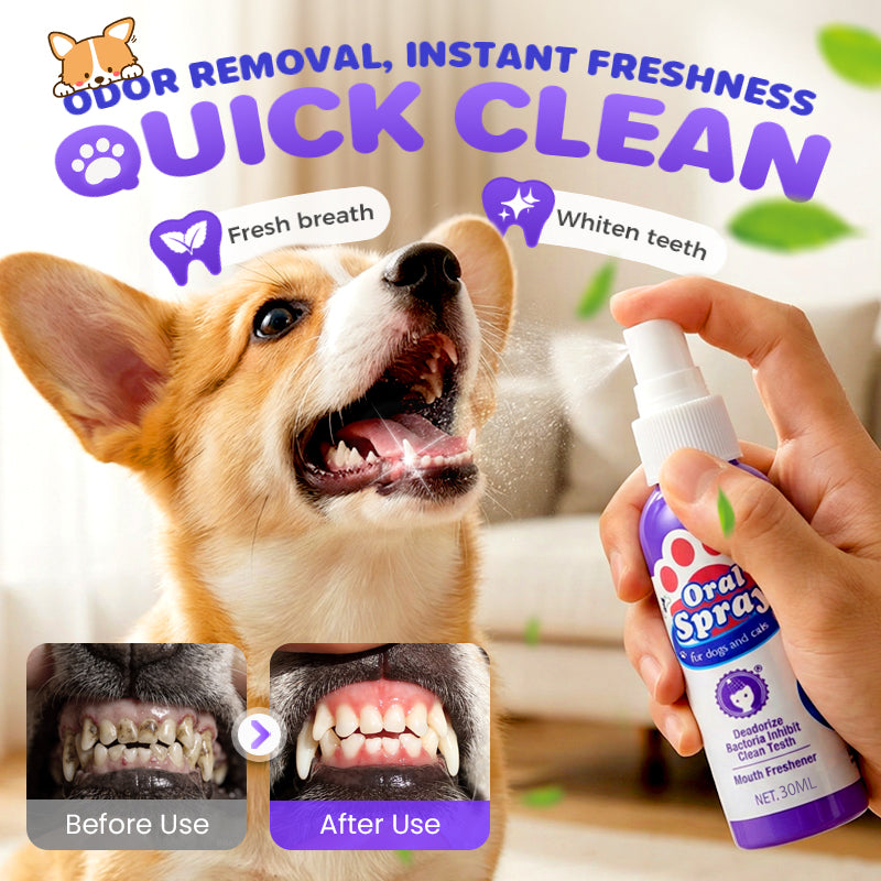 🔥2026 New Arrivals: 52% Off for a Limited Time!🔥 Contcove® Teeth Cleaning Spray for Pets