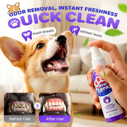🔥2026 New Arrivals: 52% Off for a Limited Time!🔥 Contcove® Teeth Cleaning Spray for Pets