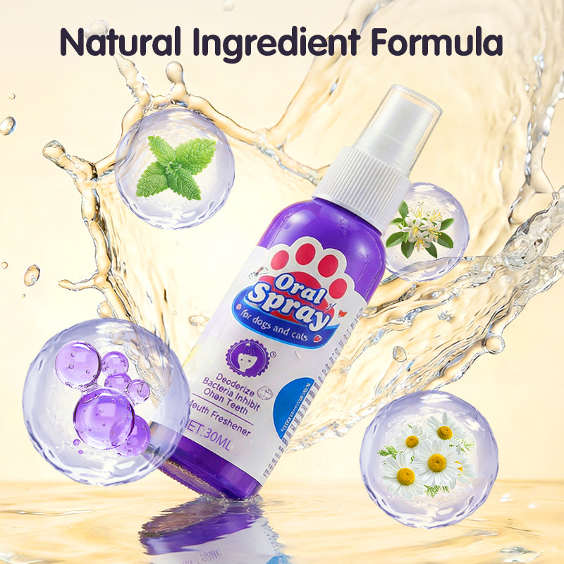 🔥2026 New Arrivals: 52% Off for a Limited Time!🔥 Contcove® Teeth Cleaning Spray for Pets