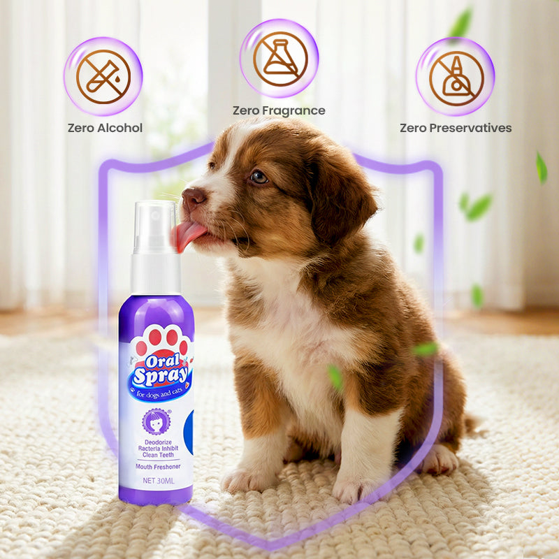 🔥2026 New Arrivals: 52% Off for a Limited Time!🔥 Contcove® Teeth Cleaning Spray for Pets
