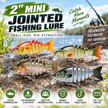 🎣2'' Lifelike Fishing Lures for Freshwater and Saltwate