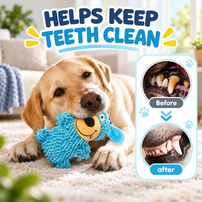 🐶 2026 New Contcove® Squeaky Dog Plush Toy – Chew, Play & Help Clean Teeth! 🦷