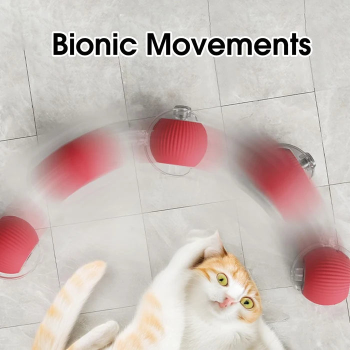 🐾 2026 New Contcove® Interactive Pet Toy Ball – Smart Rolling & Bouncing Fun