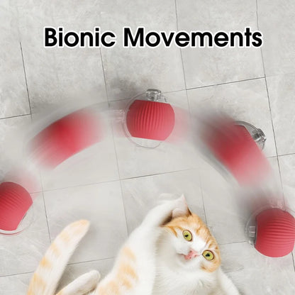 🐾 2026 New Contcove® Interactive Pet Toy Ball – Smart Rolling & Bouncing Fun