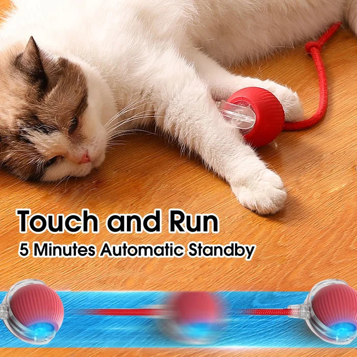 🐾 2026 New Contcove® Interactive Pet Toy Ball – Smart Rolling & Bouncing Fun