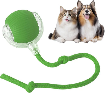 🐾 2026 New Contcove® Interactive Pet Toy Ball – Smart Rolling & Bouncing Fun