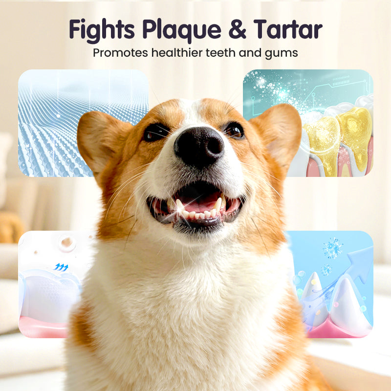 🔥2026 New Arrivals: 52% Off for a Limited Time!🔥 Contcove® Teeth Cleaning Spray for Pets