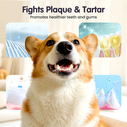🔥2026 New Arrivals: 52% Off for a Limited Time!🔥 Contcove® Teeth Cleaning Spray for Pets